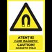 Placuta atentie camp magnetic caution magnetic field